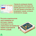 Дтп_водитель_2