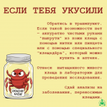 клещи 5