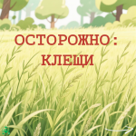 клещи 1.альт