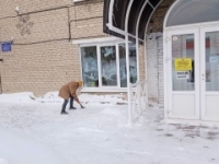 k9M7MagO3oHntqswkc2v6jAaf_sKkndTLjyKU2ZDiSTQ8Y07tyY3TtKcQS7wKVUfeDJF7H1BhIT1R_SjB9GswdOB