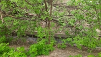 IMG-20250426-WA0002